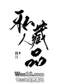 私人藏品林迦楠免费阅读