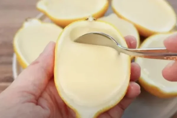 In only a few minutes, a woman provides a “delectable” recipe for lemon posset made with just four ingredients