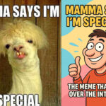 mamasaysiamspeical