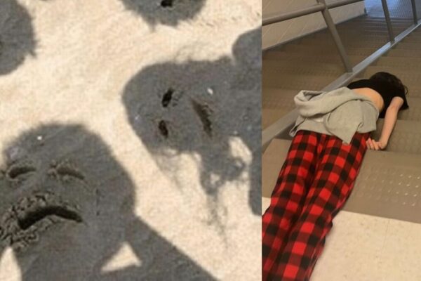 The Wacky World of Bizarre Buddies and Their Odd Journeys